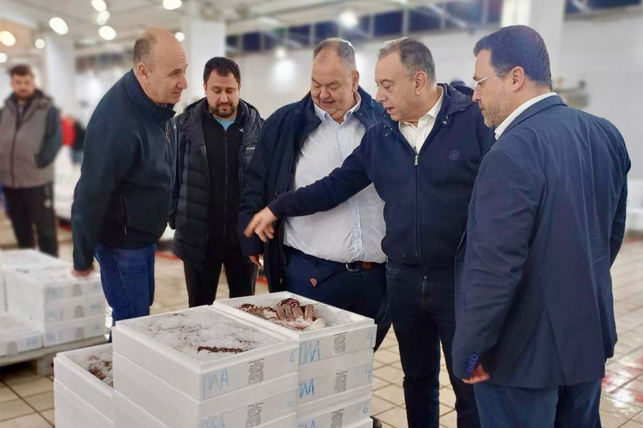 Κέλλας: Είμαστε δίπλα στους αλιείς - Αναζητούμε μια κοινά αποδεκτή λύση