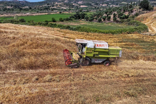 Πως η γεωργία και η κτηνοτροφία μπορούν να αντιμετωπίσουν το θερμικό στρες