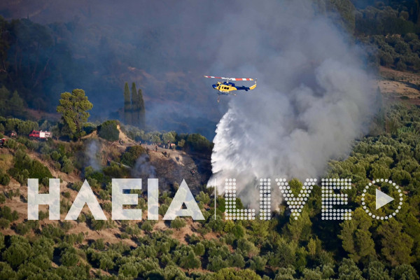 Ηλεία: Χωρίς ενεργά μέτωπα οι πυρκαγιές σε παλιά Σκιλλουντία και Πηνεία (photos &amp; video)