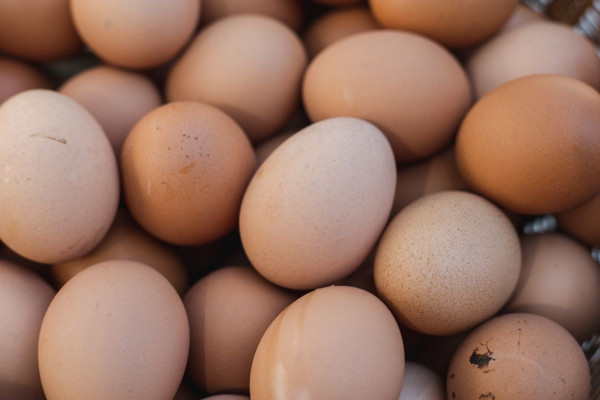 Απίστευτο: Έφαγε 720 αυγά σε ένα μήνα – Δείτε τι συνέβη στη χοληστερόλη του