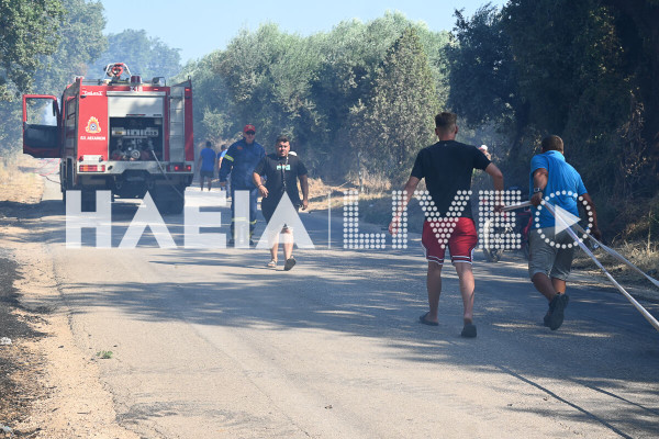 Ψάρι Βάρδας: Πάνω από 200 στρέμματα στάχτη και ζημιές σε θερμοκήπια - καλλιέργειες
