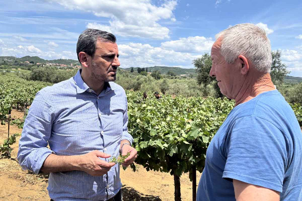 Ο Ανδρέας Νικολακόπουλος επισκέφθηκε άμεσα τις πληγείσες αγροτικές περιοχές