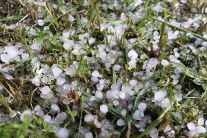 Δυνατό χαλάζι «σάρωσε» χωριά του Αγρινίου (photos)