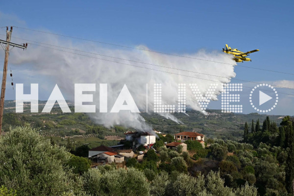 Πύργος: Οριοθετήθηκε η πυρκαγιά στο Χειμαδιό