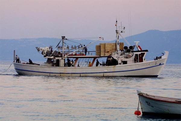 Ψάρια και θαλασσινά: Οι «αλμυρές» τιμές «καίνε» την κατανάλωση