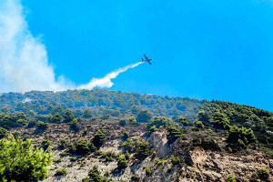 Ζάκυνθος: Πάνω από το 70% η καταστροφή στην ελαιοκαλλιέργεια