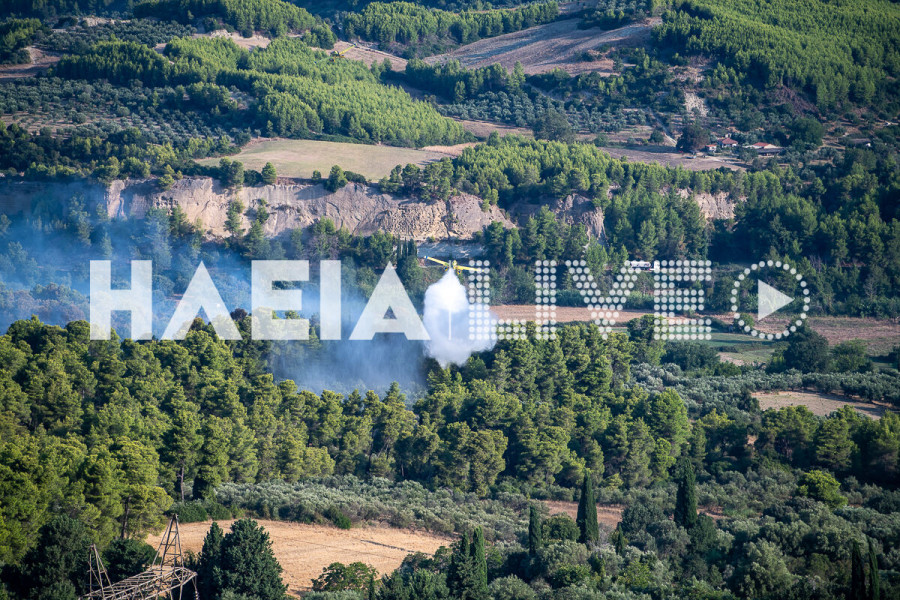 Πυρκαγιά στον Δήμο Αρχ. Ολυμπίας: Ξεκινούν από σήμερα οι δηλώσεις ζημιάς