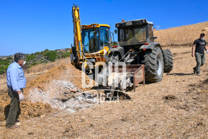 Συναγερμός στην Πηνεία: Ο καταρροϊκός πυρετός χτύπησε σε αιγοπρόβατα της περιοχής