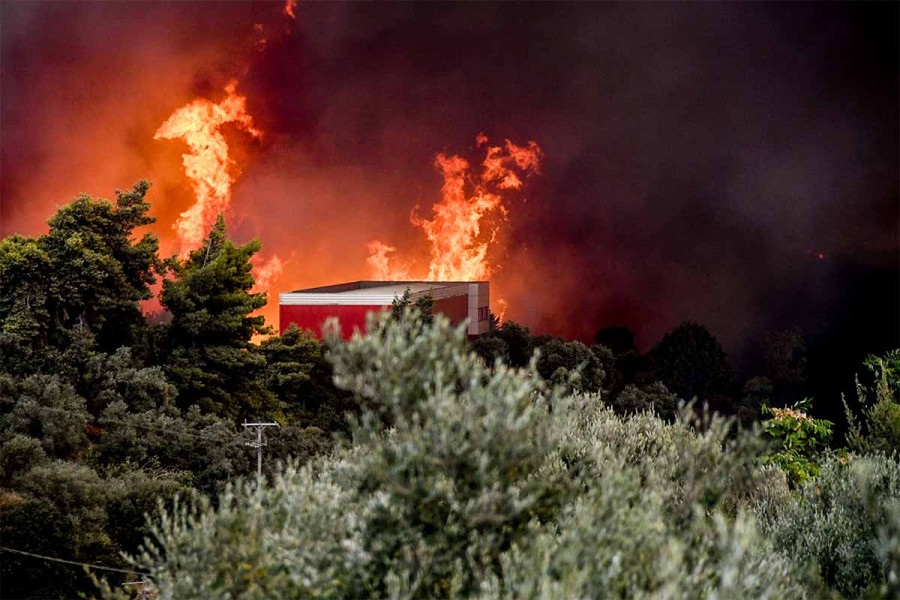 Πρέβεζα: Σε απόγνωση οι πυρόπληκτοι αγρότες – Τι ζητούν