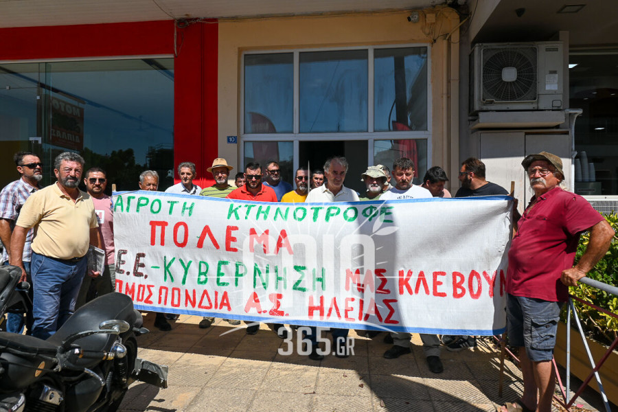 Ηλεία: Οι αγρότες βγήκαν μπροστά – «Να σταματήσει το φαγοπότι με τις επιδοτήσεις»