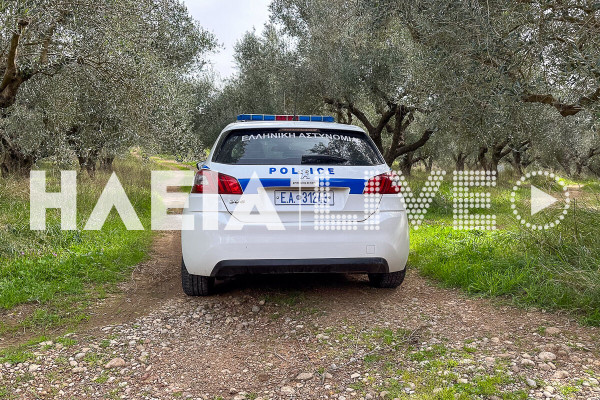 Πύργος: Αφαίρεσαν υλικά από βιομηχανικό κτίριο - Συνελήφθη ο ένας