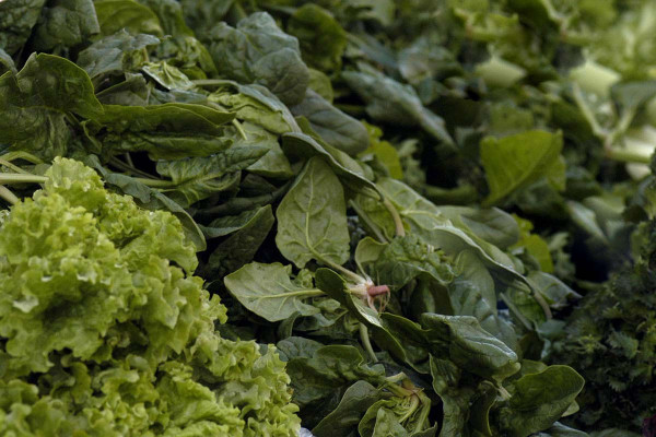 Ο Ποπάι ήξερε: Το σπανάκι κάνει καλό