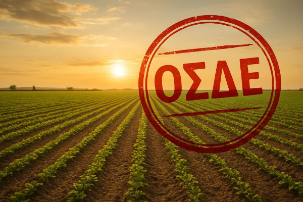 ΟΣΔΕ 2025: Έως 31 Ιουλίου οι δηλώσεις – Τι αλλάζει φέτος για τους αγρότες