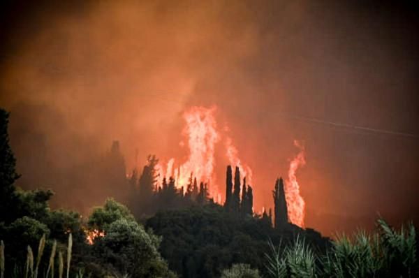 Δορυφορικά δεδομένα αποκαλύπτουν: Σημαντική αύξηση θερμοκρασίας εδάφους μετά τις πυρκαγιές σε Κάτω Αχαΐα και Πάτρα
