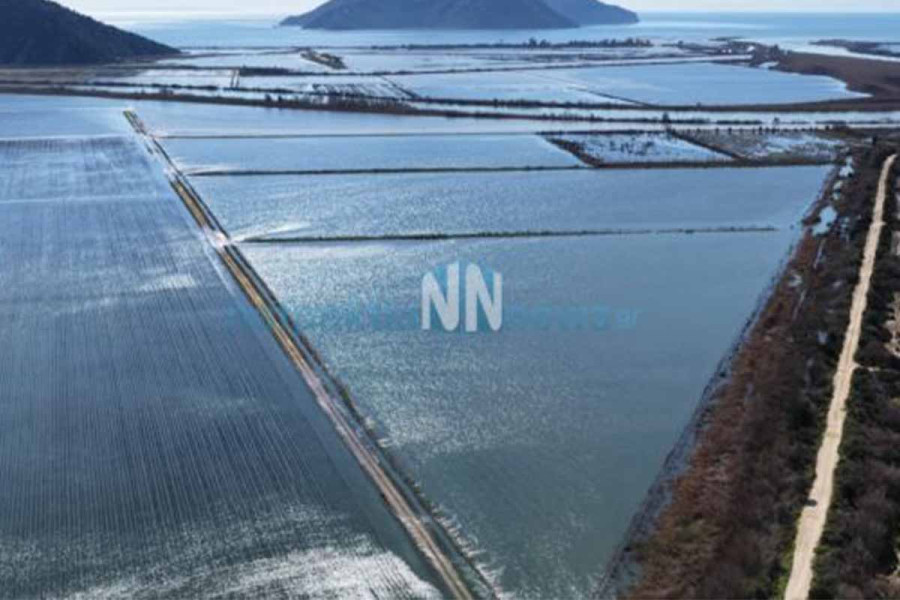 Σε Απόγνωση οι Παραγωγοί στην Κατοχή Μεσολογγίου: Βυθισμένα στις Λάσπες τα Περιβόλια (video)