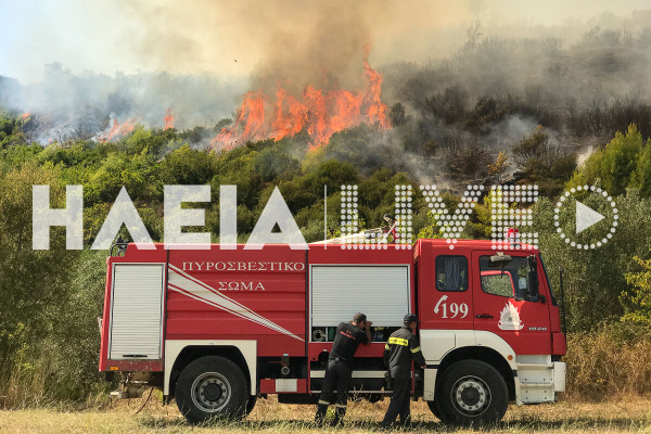 Δασαρχείο Πύργου: Ενισχύει την αντιπυρική θωράκιση στους Δήμους Πύργου και Αρχαίας Ολυμπίας με έργα 628.000 ευρώ