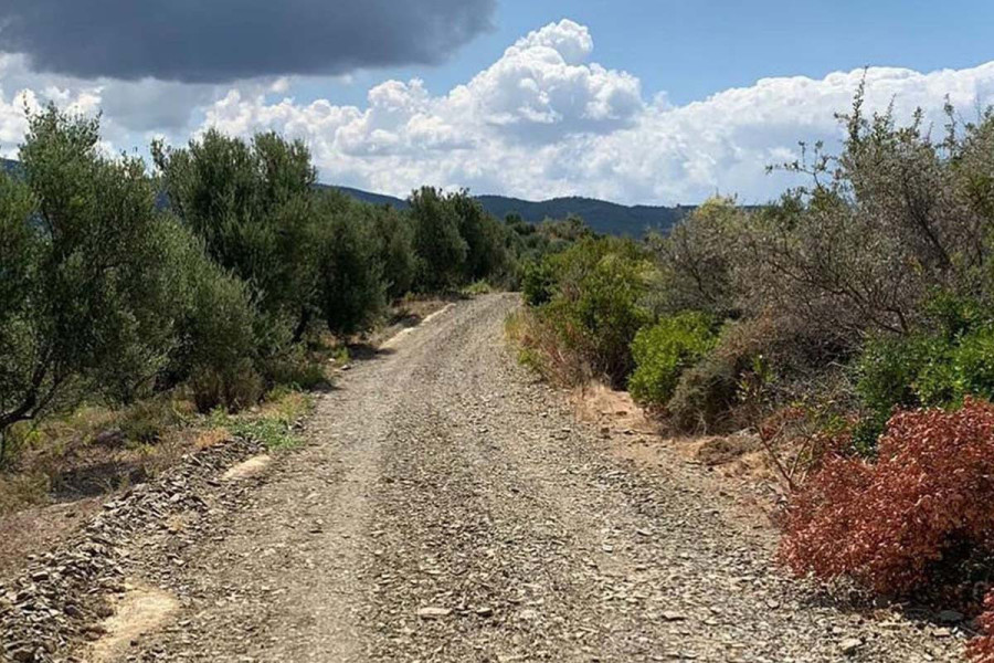 Ηλεία: Έρχονται 26 έργα αγροτικής οδοποιίας με χρηματοδότηση 14,3 εκ. ευρώ για όλους τους Δήμους