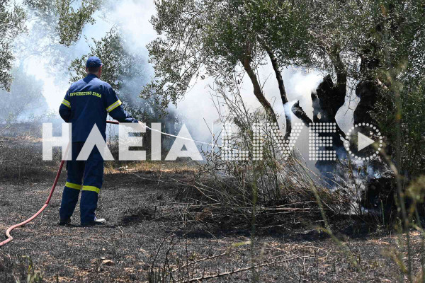 Πύργος: Πυρκαγιά σε εξέλιξη στο δρόμο Λαστέικα - Αγ. Ιωάννη