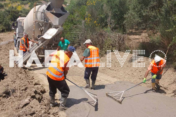Δασαρχείο Πύργου: Σε εξέλιξη αντιπυρικά έργα ύψους 3,16 εκ. ευρώ στην Δ.Ε. Ωλένης