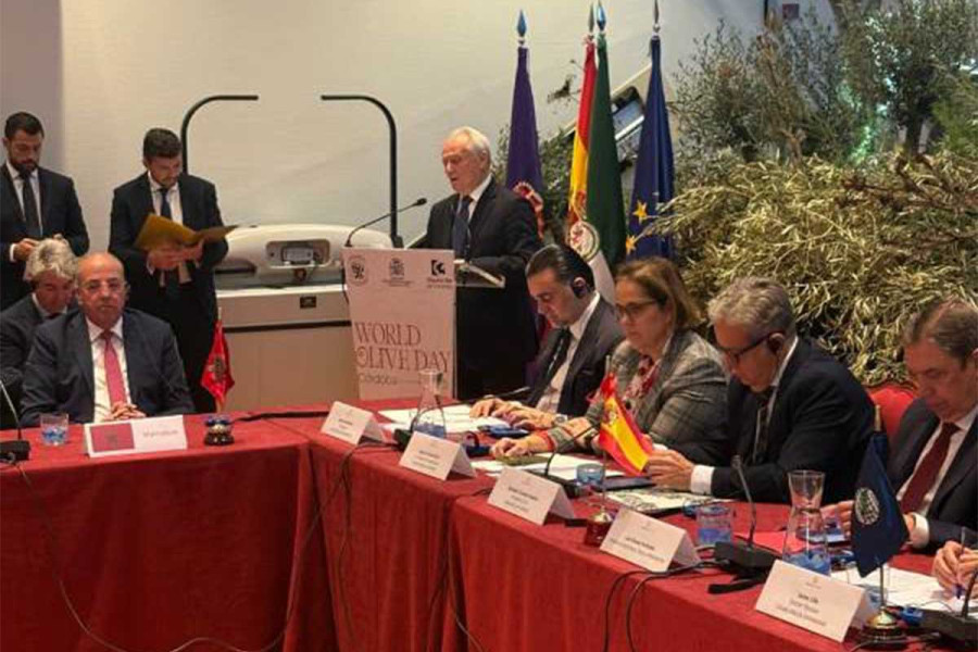 Ο Γιάννης Ανδριανός στις εργασίες του Διεθνούς Συμβουλίου Ελιάς στην Κόρδοβα