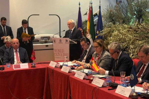 Ο Γιάννης Ανδριανός στις εργασίες του Διεθνούς Συμβουλίου Ελιάς στην Κόρδοβα