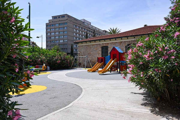 Ανησυχία για τις πικροδάφνες σε σχολεία και παιδικές χαρές - Οι διευκρινίσεις Βασιλακόπουλου