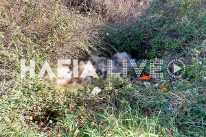 Επιτάλιο: Δεν έχει τέλος η ανευθυνότητα - Νέο περιστατικό νεκρών προβάτων σε κανάλι