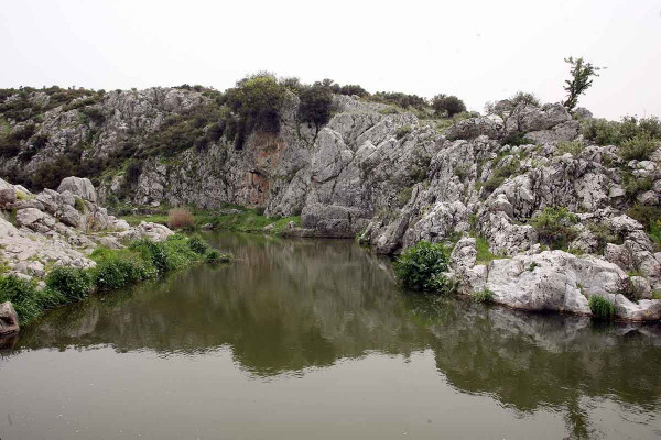 Καμπανάκι για χολέρα στον Ασωπό: Στο νερό της Βοιωτίας το βακτήριο