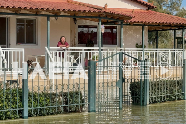 Βαρθολομιό: Πλημμύρισαν κατοικίες και καλλιέργειες μετά την ελεγχόμενη απελευθέρωση από το Φράγμα Πηνειού (photos &amp; video)